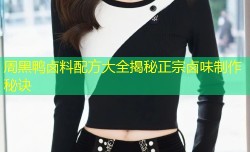 周黑鸭卤料配方大全揭秘正宗卤味制作秘诀