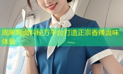 周黑鸭卤料秘方平台打造正宗香辣卤味体验