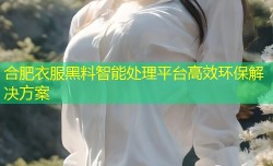 合肥衣服黑料智能处理平台高效环保解决方案