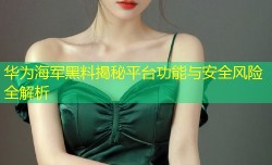 华为海军黑料揭秘平台功能与安全风险全解析