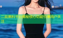 二辰黑料平台揭秘核心功能引爆用户关注