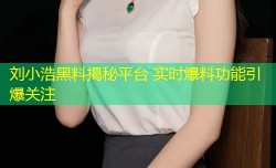 刘小浩黑料揭秘平台 实时爆料功能引爆关注