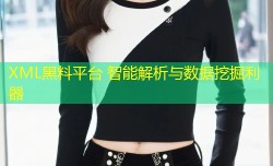 XML黑料平台 智能解析与数据挖掘利器