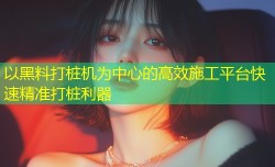 以黑料打桩机为中心的高效施工平台快速精准打桩利器