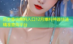 历史查找黑料入口12月爆料神器快速精准查询平台