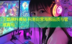 丁磊黑料揭秘 网易自营海购品质与管理真相