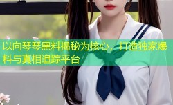 以向琴琴黑料揭秘为核心，打造独家爆料与真相追踪平台