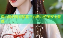 保山黑料智能监管平台助力资源安全管理