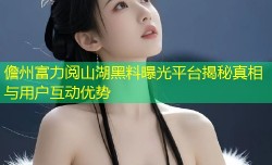 儋州富力阅山湖黑料曝光平台揭秘真相与用户互动优势