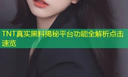 TNT真实黑料揭秘平台功能全解析点击速览