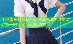 丁程鑫黑料揭秘平台快速查真相功能助你第一时间了解明星动态