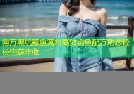 南方黑坑鲫鱼窝料高效诱鱼配方助您轻松钓获丰收