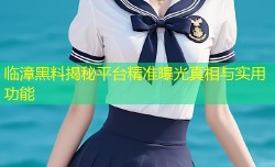 临漳黑料揭秘平台精准曝光真相与实用功能