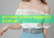 原平市黑料厂整治平台 智能监管与环保治理先锋