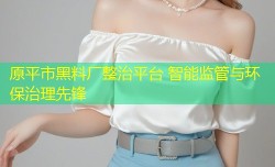 原平市黑料厂整治平台 智能监管与环保治理先锋