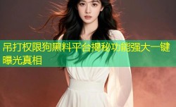 吊打权限狗黑料平台揭秘功能强大一键曝光真相