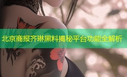 北京商报齐琳黑料揭秘平台功能全解析