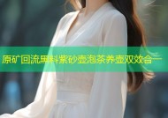 原矿回流黑料紫砂壶泡茶养壶双效合一
