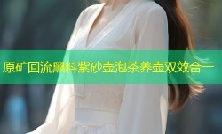 原矿回流黑料紫砂壶泡茶养壶双效合一