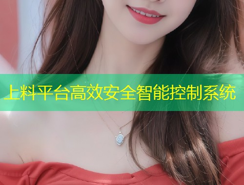 上料平台高效安全智能控制系统  第2张
