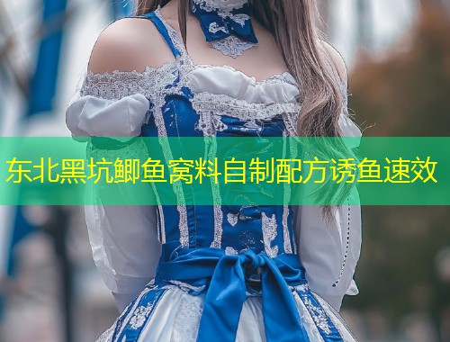 东北黑坑鲫鱼窝料自制配方诱鱼速效  第1张