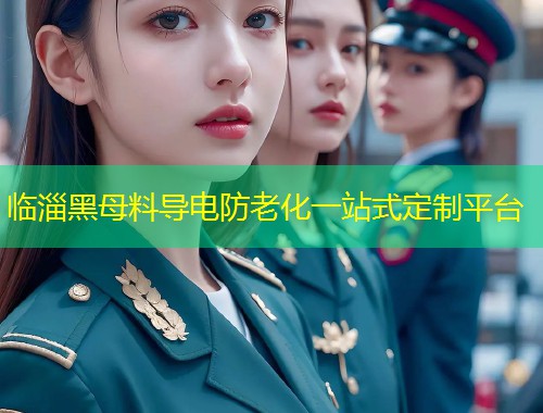临淄黑母料导电防老化一站式定制平台  第1张