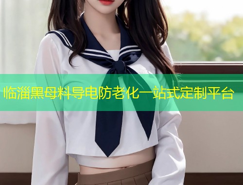 临淄黑母料导电防老化一站式定制平台  第2张