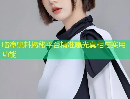 临漳黑料揭秘平台精准曝光真相与实用功能  第2张