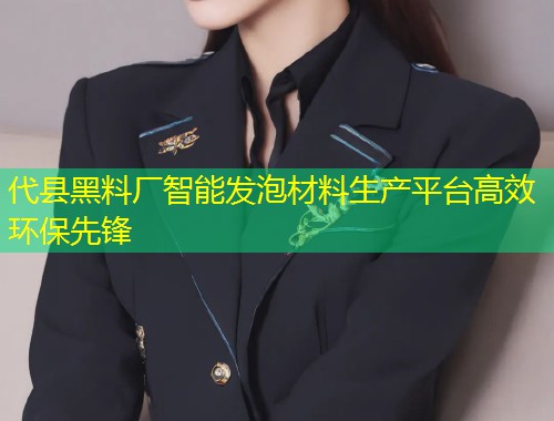 代县黑料厂智能发泡材料生产平台高效环保先锋  第1张
