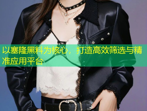 以塞隆黑料为核心，打造高效筛选与精准应用平台  第1张
