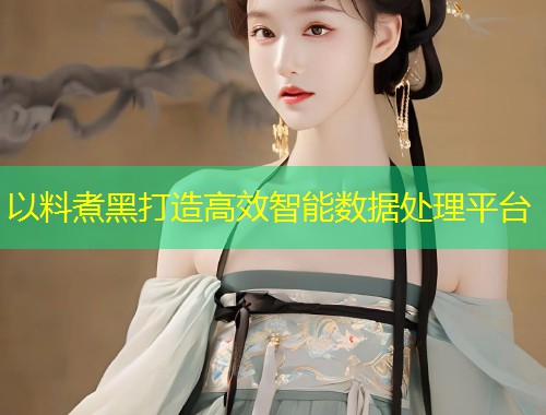 以料煮黑打造高效智能数据处理平台  第1张
