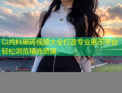以纯料黑砖视频大全打造专业展示平台轻松浏览精选资源  第1张