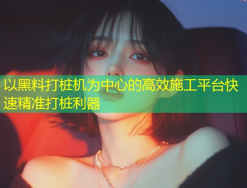 以黑料打桩机为中心的高效施工平台快速精准打桩利器  第1张