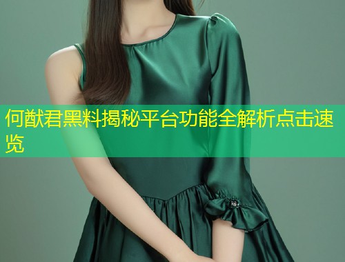 何猷君黑料揭秘平台功能全解析点击速览  第1张