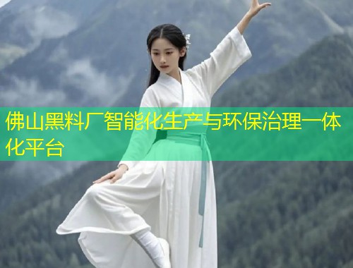 佛山黑料厂智能化生产与环保治理一体化平台  第2张