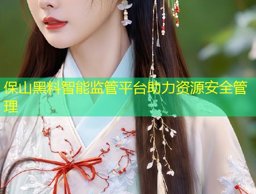 保山黑料智能监管平台助力资源安全管理  第1张