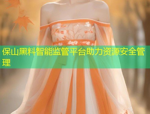 保山黑料智能监管平台助力资源安全管理  第2张