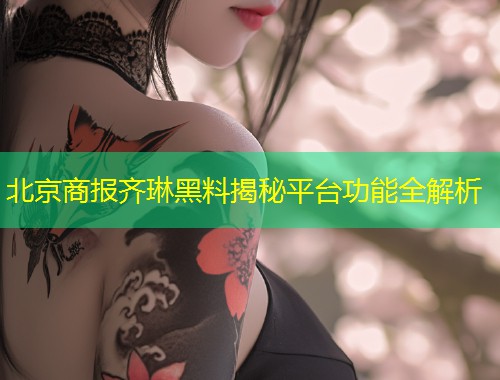 北京商报齐琳黑料揭秘平台功能全解析  第1张