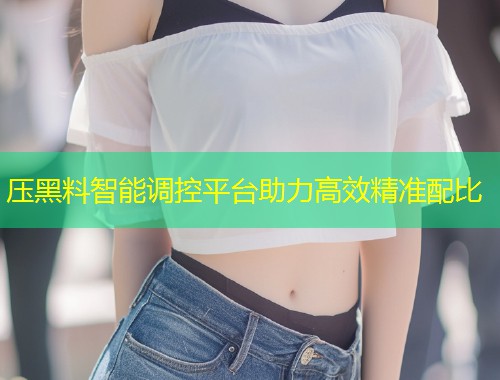 压黑料智能调控平台助力高效精准配比  第1张