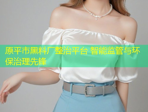 原平市黑料厂整治平台 智能监管与环保治理先锋  第1张
