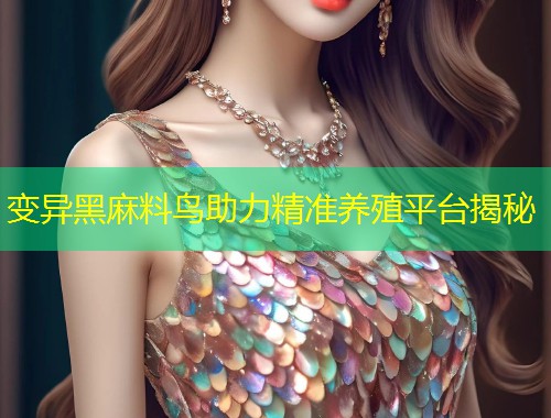变异黑麻料鸟助力精准养殖平台揭秘  第1张