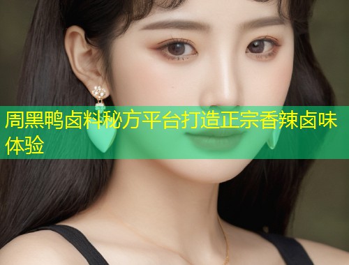 周黑鸭卤料秘方平台打造正宗香辣卤味体验  第2张
