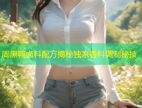 周黑鸭卤料配方揭秘独家香料调制秘技  第1张