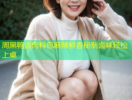 周黑鸭卤肉料包麻辣鲜香秘制卤味轻松上桌  第1张