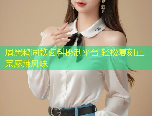 周黑鸭同款卤料秘制平台 轻松复刻正宗麻辣风味  第1张
