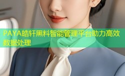 PAYA皓轩黑料智能管理平台助力高效数据处理