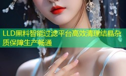 LLD黑料智能过滤平台高效清理结晶杂质保障生产畅通