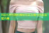 B站大忽悠黑料揭秘社区治理与内容监管内幕