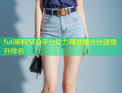 fuli黑料SEO平台助力精准曝光快速提升排名  第1张