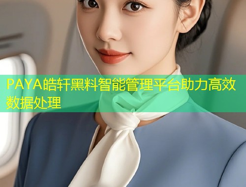 PAYA皓轩黑料智能管理平台助力高效数据处理  第1张